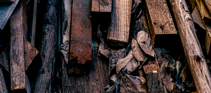 Maximizing Returns: ValueTek’s Digital Auctions Unlocked ₹87 Lakh from Wood Scrap Matex Technologies